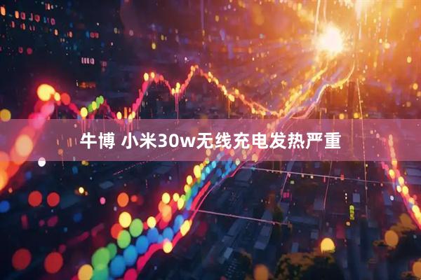 牛博 小米30w无线充电发热严重
