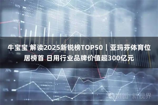 牛宝宝 解读2025新锐榜TOP50｜亚玛芬体育位居榜首 日用行业品牌价值超300亿元