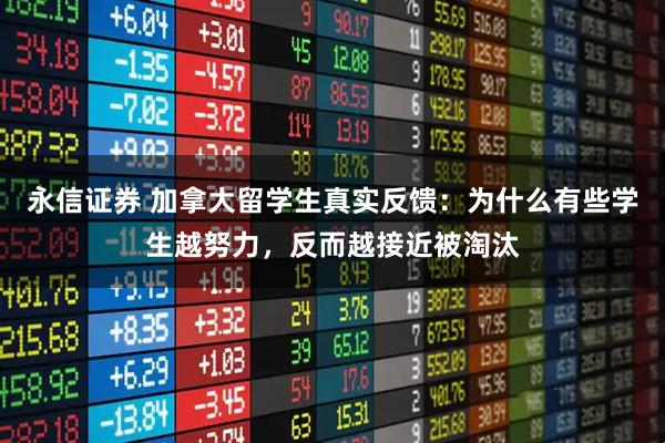 永信证券 加拿大留学生真实反馈：为什么有些学生越努力，反而越接近被淘汰